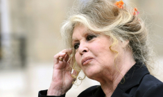 L'actrice française Brigitte Bardot quitte le palais de l'Elysée après une rencontre avec le président de la République Nicolas Sarkozy, le 27 septembre 2007 à Paris ( AFP / Eric Feferberg )
