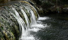 ( AFP / NICOLAS TUCAT )