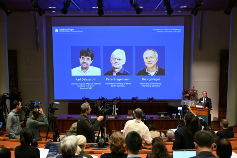 Le trio vainqueur du prix Nobel de médecine, à Stockholm, le 5 octobre 2026 ( AFP / Jonathan Nackstrand )