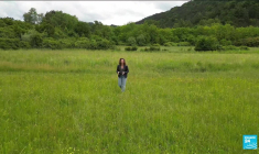 Interdiction des néonicotinoïdes : en Slovénie, les abeilles sont reines