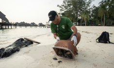 Un défenseur de l'environnement s'occupe de tortues sur l'île de Mataking, en Malaisie, le 25 septembre 2026 ( AFP / SAI AUNG MAIN )