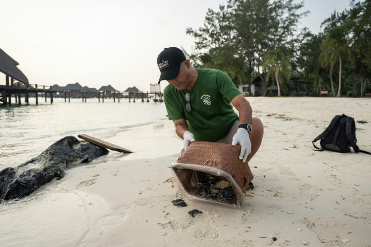 Un défenseur de l'environnement s'occupe de tortues sur l'île de Mataking, en Malaisie, le 25 septembre 2026 ( AFP / SAI AUNG MAIN )