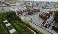Le texte prévoit de permettre à toutes les communes dites "tendues" (et celles limitrophes se situant dans la même intercommunalité) de mettre en place l'encadrement des loyers.  ( AFP / Thomas SAMSON )
