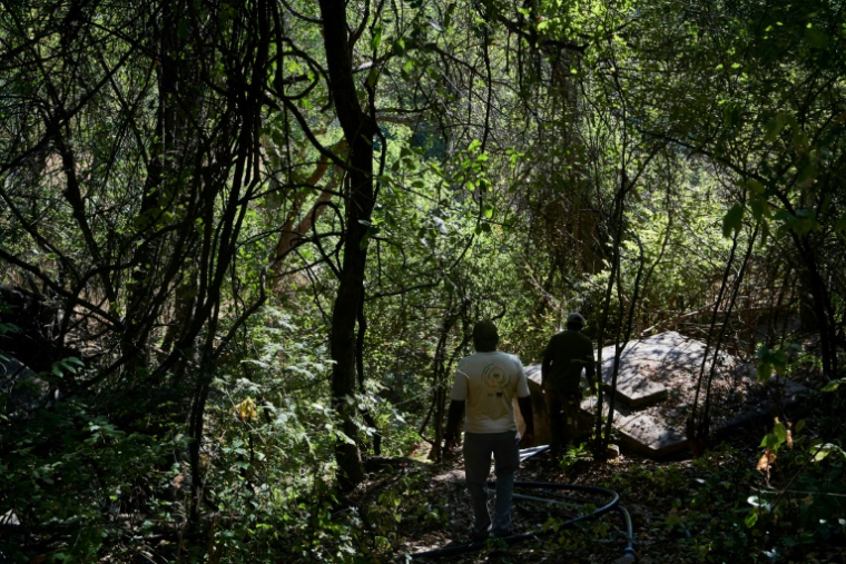 Des défenseurs de l'environnement inspectent un réservoir d'eau communautaire dans une forêt le 10 juin 2023 à Binga, au Zimbabwe ( AFP / Zinyange Auntony )