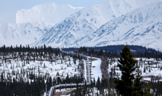 Le projet de nouveau gazoduc emprunterait pour partie le chemin du gazoduc déjà construit entre les champs du grand nord de l'Alaska et le port de Valdez (illustration) ( GETTY IMAGES NORTH AMERICA / MARIO TAMA )