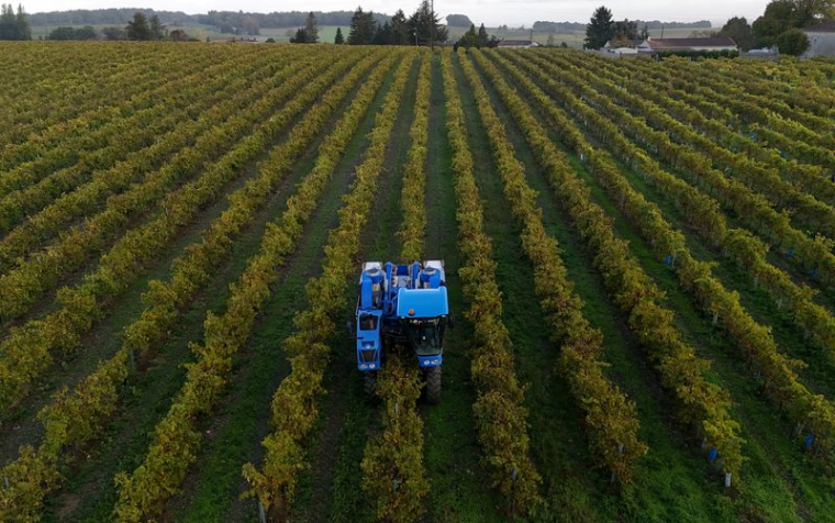 Une vue de drone montre un vendangeur conduisant un tracteur dans un vignoble à Bonneuil