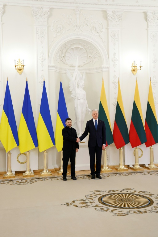 Le président ukrainien Volodymyr Zelensky (G) et son homologue lituanien Gitanas Nauseda lors d'une rencontre à Vilnius, le 25 janvier 2026 ( AFP / Petras Malukas )