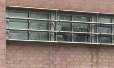 Peste porcine : la police espagnole perquisitionne un laboratoire