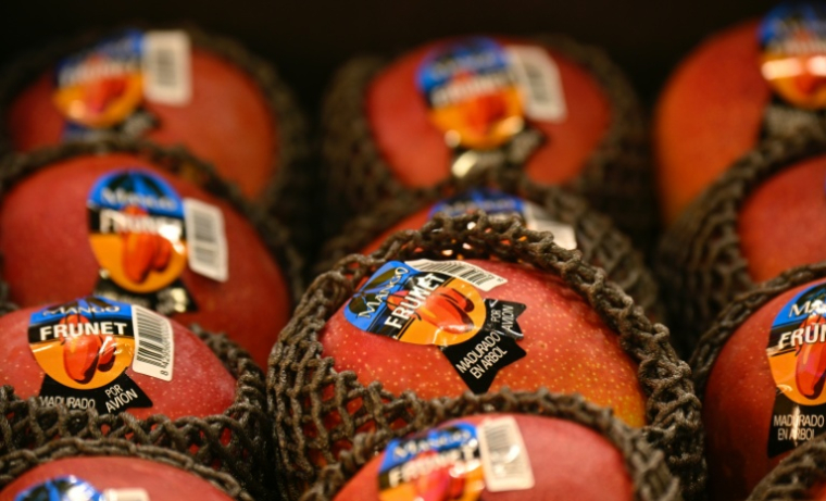 Bruxelles a rappelé de son côté avoir déjà engagé une possible révision de ses règles sur les résidus de pesticides dans les produits importés ( AFP / Tobias SCHWARZ )