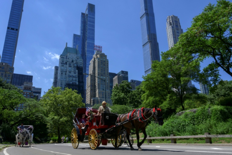 Une calèche dans Central Park, à New York, le 3 août 2022 ( AFP / ANGELA WEISS )