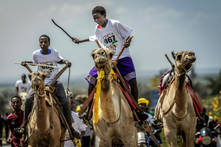 Course de dromadaires lors du 32e Maralal International Camel Derby, à Maralal (Kenya), le 26 septembre 2025 ( AFP / Luis TATO )