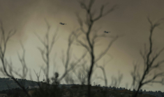 L'incendie qui a débuté jeudi en fin d'après-midi sur la commune de Martigues, au nord-ouest de Marseille, n'était toujours pas maîtrisé vendredi ( AFP / Idriss BIGOU-GILLES )