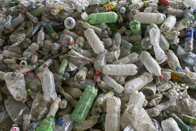 Un amas de déchets de bouteilles plastiques le long de la rivière Las Vacas, affluent de la Motagua, à Chinautla au Guatemala, photographié le 3 juin 2025 ( AFP / JOHAN ORDONEZ )