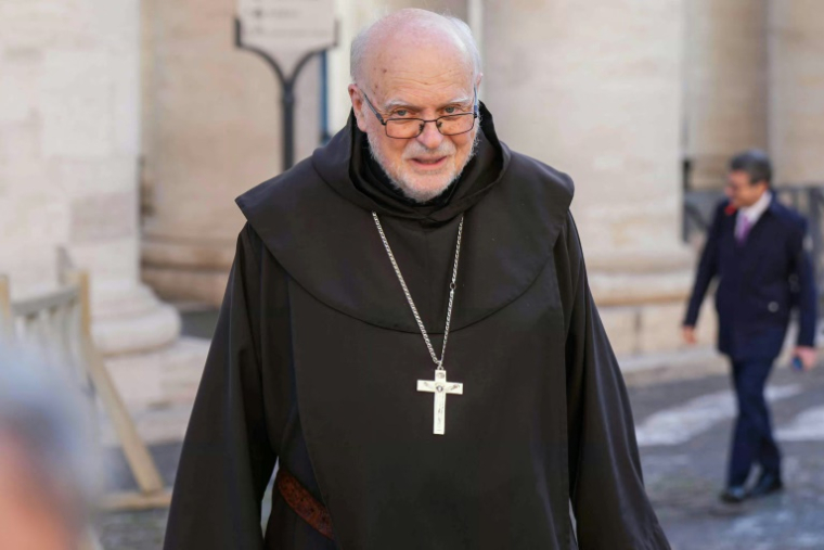 Le cardinal suédois Anders Arborelius, évêque de Stockholm, arrive pour la septième réunion de la congrégation au Vatican, le 30 avril 2025 ( AFP / Dimitar DILKOFF )