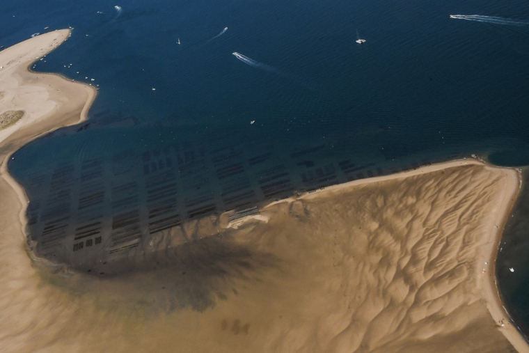 ( AFP / MEHDI FEDOUACH )