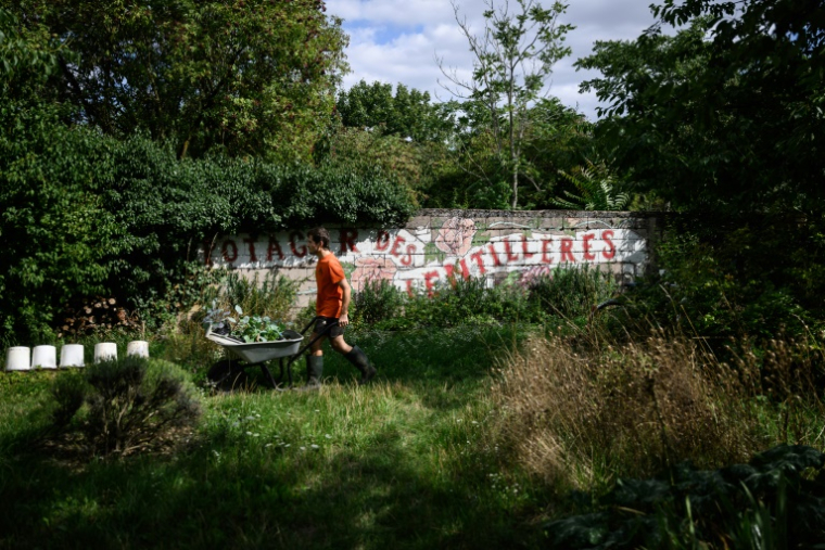 Un homme travaille dans le potager collectif du "Quartier libre des Lentillères", une ZAD urbaine à Dijon, le 3 août 2025 en Côte d'Or ( AFP / ARNAUD FINISTRE )