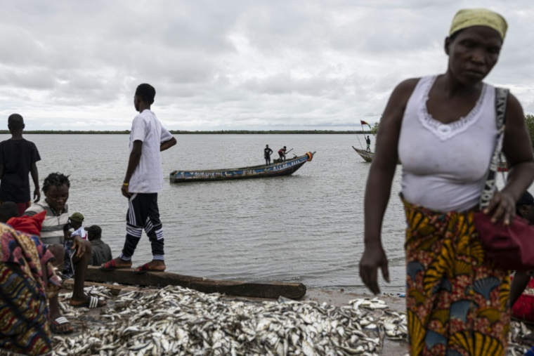 Des pêcheurs à Touguiyire, dans la préfecture de Forécariah, le 4 septembre 2025 en Guinée ( AFP / PATRICK MEINHARDT )