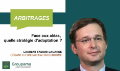 Face aux aléas, quelle stratégie d'adaptation ?