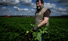 L'agriculteur Samuel Allix dans son champ de pommes de terre le 22 mai 2025 à Saint-Jean-d'Illac, en Gironde ( AFP / Philippe LOPEZ )