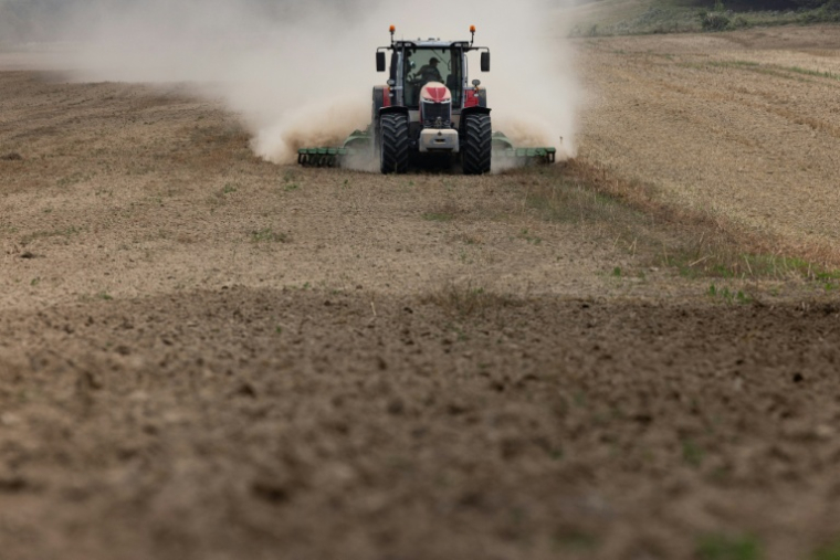 Le cadmium, un métal lourd, est présent dans de nombreux aliments via la contamination des sols agricoles qu'il est très compliqué de dépolluer, ( AFP / JOEL SAGET )