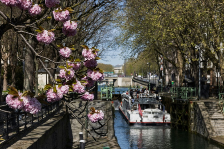 Le canal Saint-Martin, à Paris, le 6 avril 2025 ( AFP / JOEL SAGET )