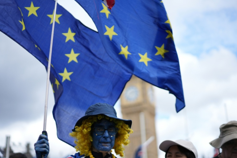 Manifestation nationale appelant le Royaume-Uni à rejoindre l'UE le 20 juin 2026, à Londres ( AFP / CARLOS JASSO )