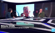 Melanie Vogel (Les Ecologistes) : "Amélie de Montchalin sera dans un conflit d'intérêt permanent"