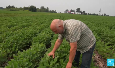 Agriculture : le Canada se tourne vers l'édition génomique des grains