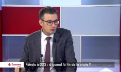 Pétrole à 30$ : à quand la fin de la chute ? (VIDEO)