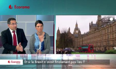 Et si le Brexit n'avait finalement pas lieu ?