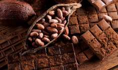 La géographie de la production du cacao a été façonnée par les colonisations, les migrations et les conditions environnementales, notamment sanitaires. (crédit : Adobe Stock)