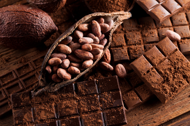 La géographie de la production du cacao a été façonnée par les colonisations, les migrations et les conditions environnementales, notamment sanitaires. (crédit : Adobe Stock)