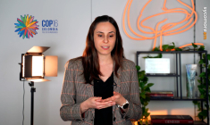 COP16 et COP29 : bilan et perspectives