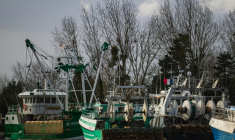 Le président du comité national des pêches appelle à "lever les obstacles" au renouvellement de la flotte de pêche française ( AFP / Sameer Al-DOUMY )