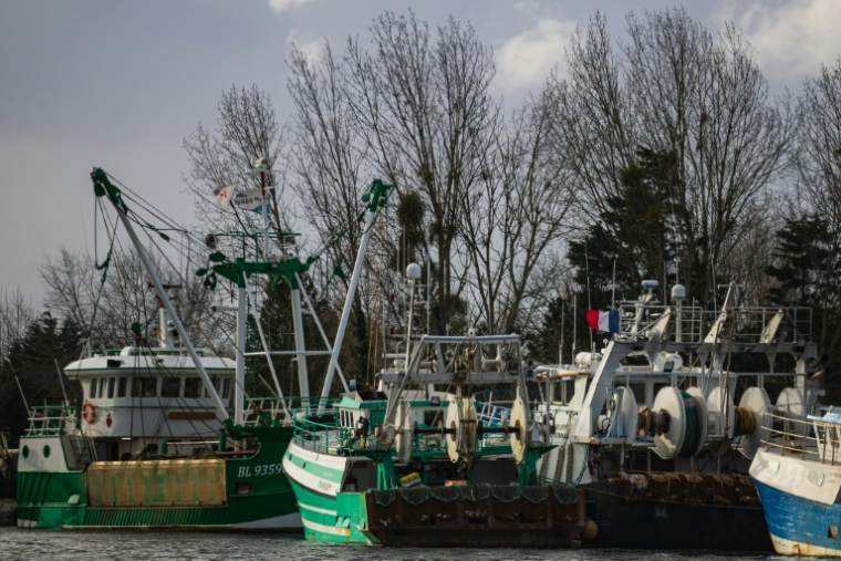 Le président du comité national des pêches appelle à "lever les obstacles" au renouvellement de la flotte de pêche française ( AFP / Sameer Al-DOUMY )