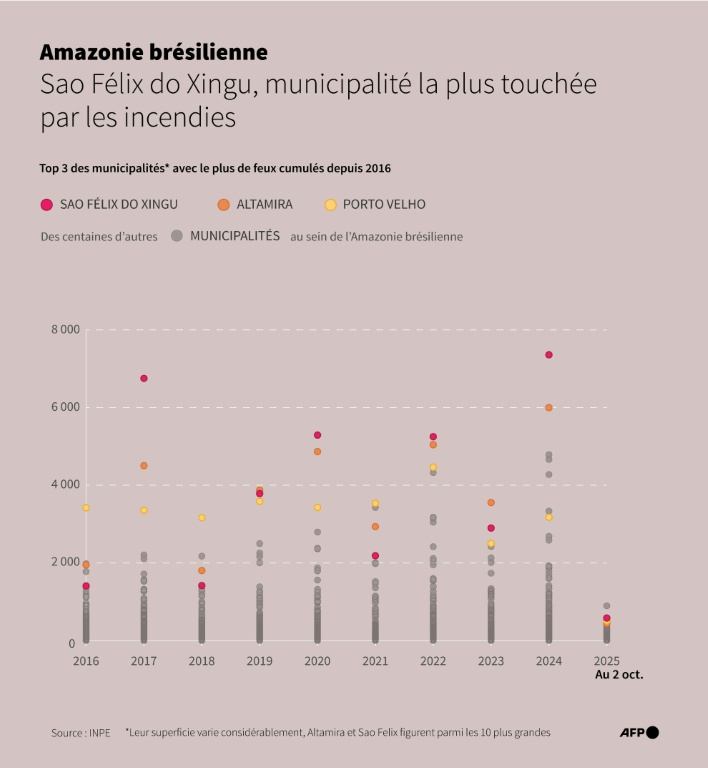 Infographie montrant le nombre total d'incendies annuels par municipalité dans l'Amazonie brésilienne, selon les données de l'Institut National de Recherche Spatiale (INPE) ( AFP / Olivia BUGAULT )