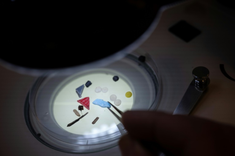 Des microplastiques observés au microscope dans un laboratoire de l'université britannique de Plymouth,en février 2023, en Angleterre ( AFP / Ben Stansall )