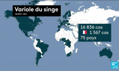 Symptômes, diagnostic, traitements...tout ce qu'il faut savoir sur la variole du singe