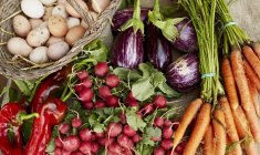 Le Salon Marjolaine, le grand rendez-vous du bio à Paris. crédit photo : Getty Images