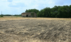 Une zone fouillée sur le site où ont été menées des recherches pour retrouver les restes de Delphine Aussaguel, à Villeneuve-sur-Vère, dans le sud-ouest de la France, le 17 juillet 2026 ( AFP / Matthieu RONDEL )