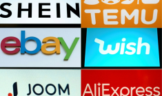 La semaine dernière, le gouvernement avait annoncé avoir constaté la vente de produits illicites sur d'autres plateformes que Shein et promis de "nouvelles procédures à leur encontre" ( AFP / Julie SEBADELHA )