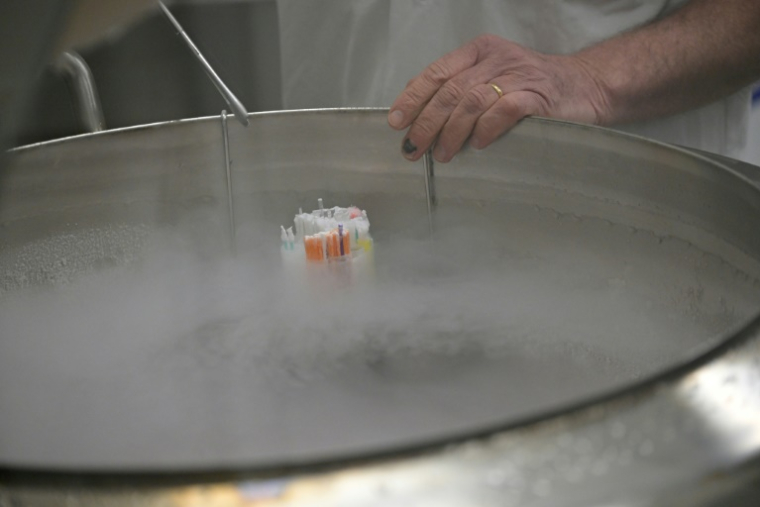 Des fioles de sperme congelées dans de l'azote liquide au Cecos de Rennes, le 12 mars 2024 ( AFP / Damien MEYER )