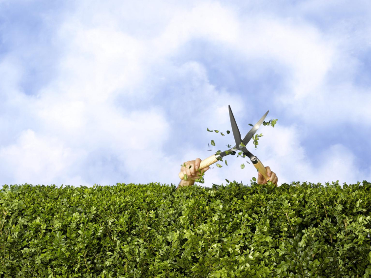 Ayez le réflexe de louer auprès de particuliers au lieu d’acheter. ( crédit photo : Getty Images )