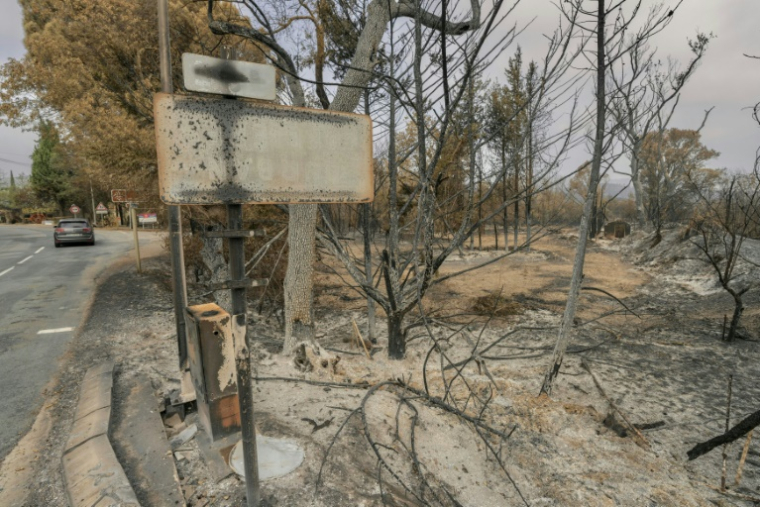 Un panneau d'entrée de la ville de Durban-Corbières, dans l'Aude, après le passage de l'incendie, le 9 août 2025 ( AFP / Idriss Bigou-Gilles )