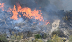 Des pompiers de l'Infoca (service de lutte contre les incendies de forêt d'Andalousie) s'emploient à éteindre un incendie sur les lieux d'un feu de forêt ayant causé la mort de 11 personnes près de Bedar, dans le district de Los Gallardos (province d'Almería), le 10 juillet 2026 ( AFP / JOSE JORDAN )