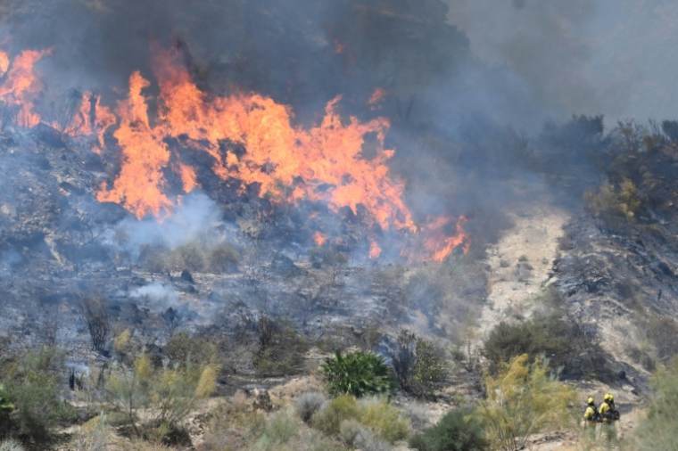 Des pompiers de l'Infoca (service de lutte contre les incendies de forêt d'Andalousie) s'emploient à éteindre un incendie sur les lieux d'un feu de forêt ayant causé la mort de 11 personnes près de Bedar, dans le district de Los Gallardos (province d'Almería), le 10 juillet 2026 ( AFP / JOSE JORDAN )