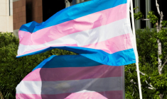 Drapeau transgenre, 31 mars 2017 à Los Angeles, Californie, aux Etats-Unis ( AFP / Robyn Beck )