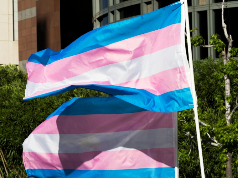 Drapeau transgenre, 31 mars 2017 à Los Angeles, Californie, aux Etats-Unis ( AFP / Robyn Beck )