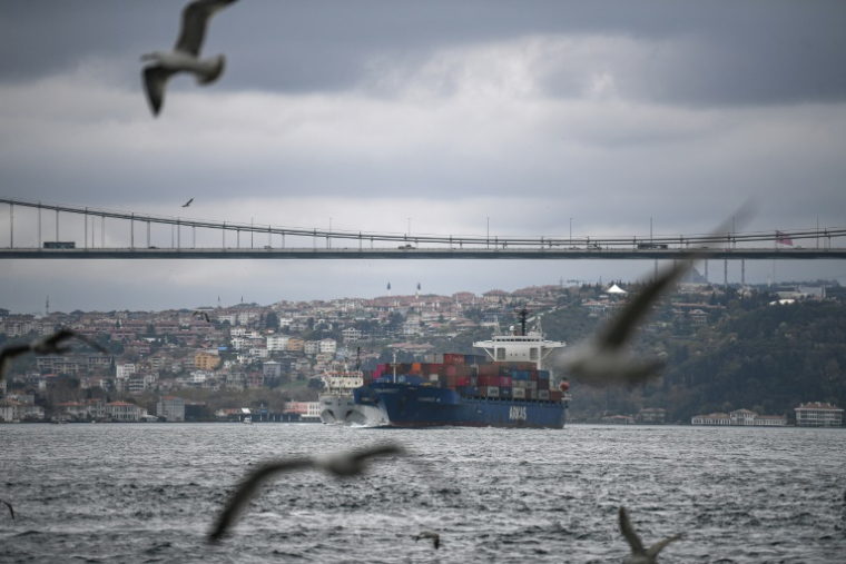Un cargo navigue dans le détroit du Bosphore le 23 avril 2021 à Istanbul ( AFP / Ozan KOSE )