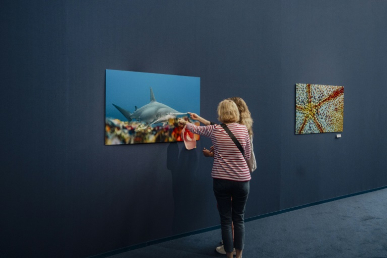 Des visiteuses de l'exposition "La baleine" à l'occasion de la Conférence des Nations Unies sur les océans (ONUC) au Parc des expositions de Nice, le 2 juin 2025 ( AFP / Frederic DIDES )